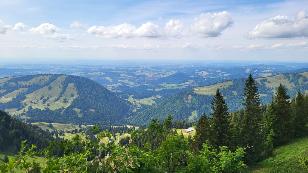 ...und geniessen die super schöne Aussicht über die grünen Allgäuer Hänge in Richtung Oberstaufen