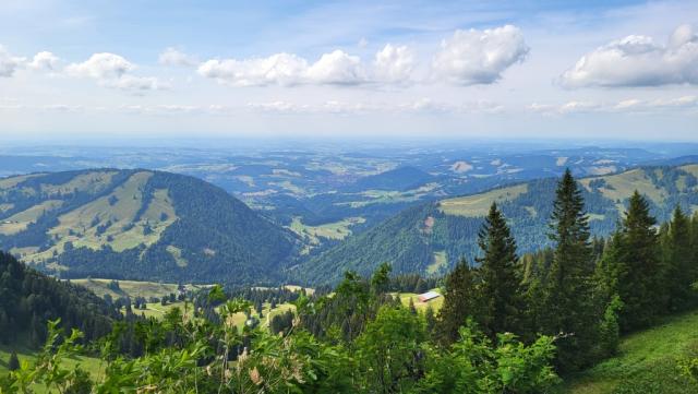 ...und geniessen die super schöne Aussicht über die grünen Allgäuer Hänge in Richtung Oberstaufen