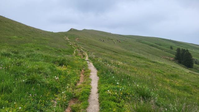 es ist eine lange und durch mehrere Gegenanstiege konditionell fordernde Etappe. Erst recht mit grossen Rucksäcken