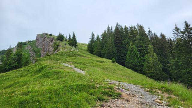 um danach auf den Gündleskopf hinauf zu ziehen