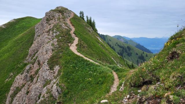 auf dieser Gratwanderung sind diverse Wegpassagen recht ausgesetzt