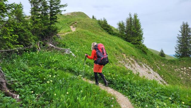 zu beginn geht es über einen einfachen Wanderweg