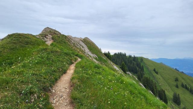 der dann bei der Obere Sedererwände direkt zum Grat hinaufführt