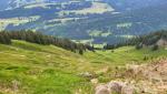 ...zieht der Maximilian-Weg rechts ab, und führt uns steil hinunter in das Gunzesrieder Tal