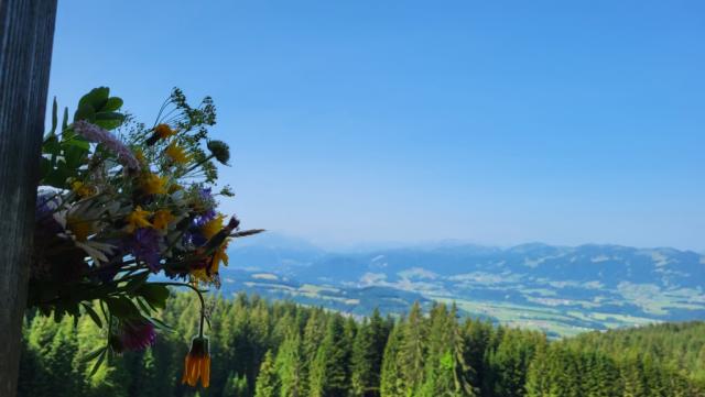 hier oben geniessen wir ein super schönes Panorama