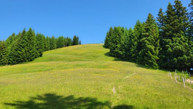 während dem Abstieg, blicken wir zum Boaleskopf zurück