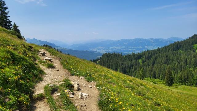 der Pfad steigt nun an, und führt uns südseitig um den "Spieser" herum