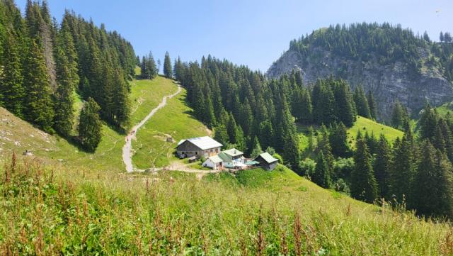 auf der anderen Bergseite kommen die beiden Wegvarianten wieder zusammen. Gleichzeitig erscheint die Hirsch-Alpe