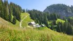 auf der anderen Bergseite kommen die beiden Wegvarianten wieder zusammen. Gleichzeitig erscheint die "Hirsch-Alpe"