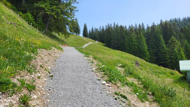 ...und steigen über einen breiten Kiesweg hinauf...