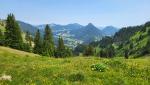 ...zum Steinpass-Sattel. Vom Sattel aus, erkennen wir im Tal das Dorf Unterjoch, unser nächstes Ziel