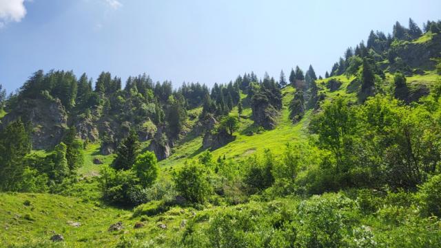 wir blicken hinauf zum Steinpass-Sattel