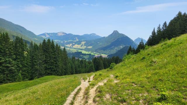 wir wandern durch das kleine Skigebiet der "Spieserlifte" weiter abwärts