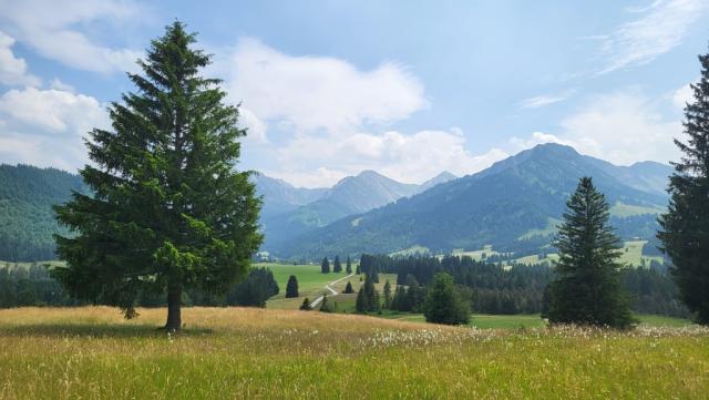 auf Tiroler Boden wandern wir leicht abwärts ins Vilstal hinein