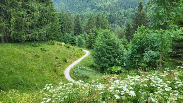 ...und wandern danach hinunter in das idyllische Vilstal