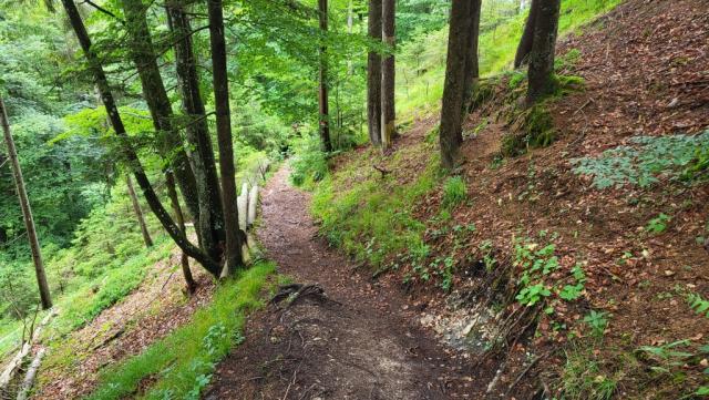 kurz danach biegen wir in einem schmalen Bergpfad der uns in eine Senke hinunterführt