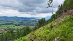 vor uns am Horizont erkennen wir den Hopfen- und Forggensee