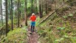 durch den Wald geht es zunächst leicht bergauf. Bis Füssen werden wir nun immer der Landesgrenze entlang wandern