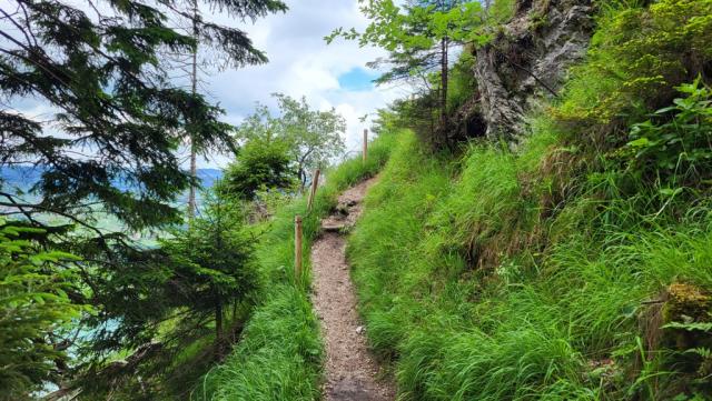 auf dem Weg zur Saloberalpe