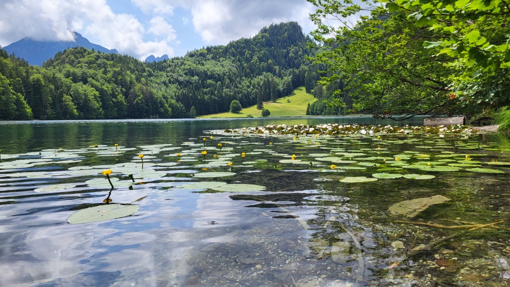 wir umrunden den Alatsee an seinem linken Ufer