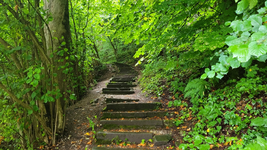 wir beginnen unsere heutige Wanderung auf dem Kreuzweg, der uns hinauf zum Kalvarienberg führen wird