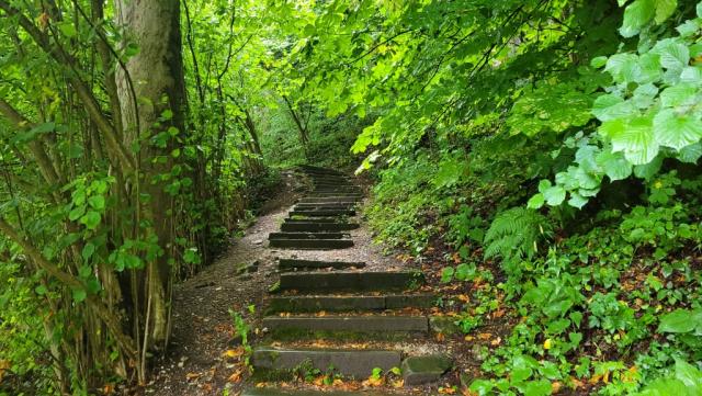 wir beginnen unsere heutige Wanderung auf dem Kreuzweg, der uns hinauf zum Kalvarienberg führen wird