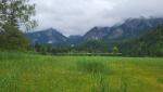 ...um kurz danach eine Moorlandschaft zu erreichen. Am Horizont erkennen wir Hohenschwangau und Neuschwanstein