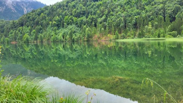 beim verträumten Schwansee, den Ludwig II so sehr liebte