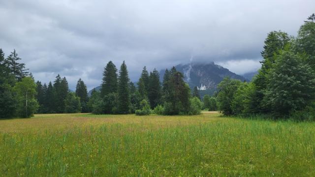 mit Blick auf Neuschwanstein durchqueren wir die Moorlandschaft "Schwanseepark"