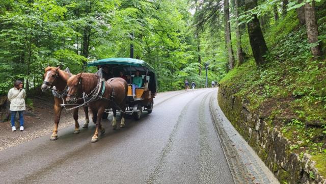 man könnte auch mit der Kutsche zum Schloss Neuschwanstein fahren. Wir laufen lieber