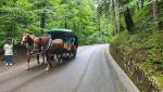 man könnte auch mit der Kutsche zum Schloss Neuschwanstein fahren. Wir laufen lieber