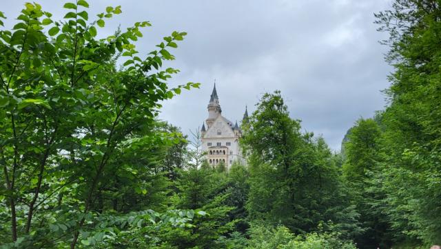 wir umrunden das Schloss Neuschwanstein und laufen zur gut ausgeschilderten Marienbrücke