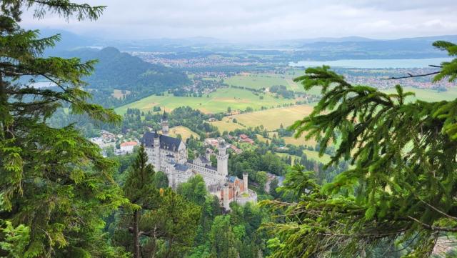 was für ein magischer Blick auf das Schloss Neuschwanstein