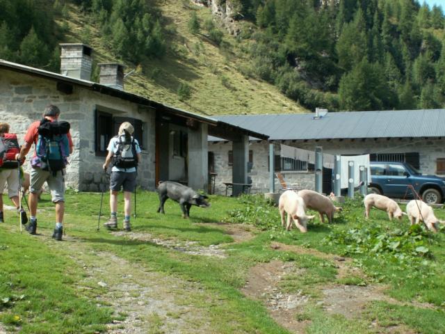 Alpe di Cristallina