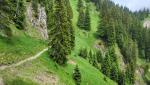 gut ersichtlich, der Bergpfad der uns am Branderschrofen entlang, zum Branderfleck führen wird