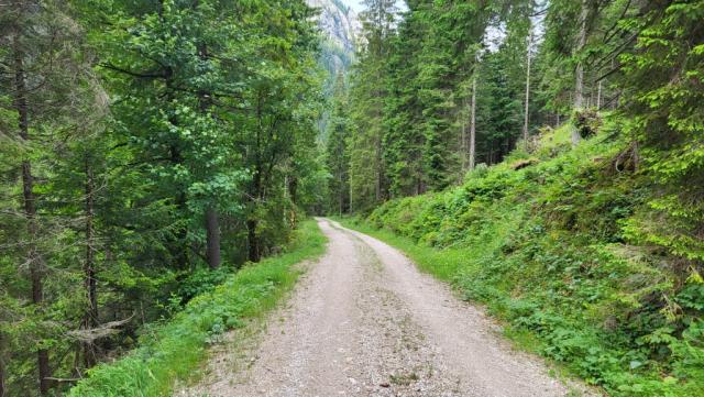 über eine Forststrasse geht es danach fast endlos am Lobental entlang talauswärts