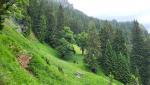 wir befinden uns auch heute noch, im Naturpark Ammergauer Alpen