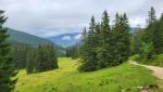 heute wandern wir den letzten Tag durch den Naturpark Ammergauer Alpen