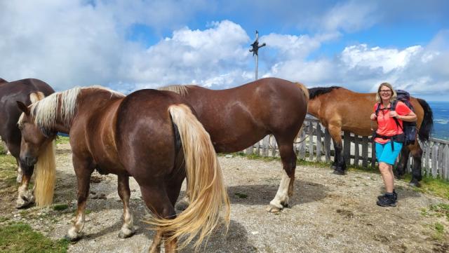 uns kommt sofort der E5 in den Sinn. Auf Meran 2000 begrüssten uns damals Haflinger