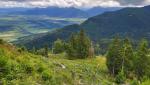 ...Pfeifengraswiesen und Magerrasen zu den besonders herausragenden Biotopkomplexen der Bayerischen Alpen