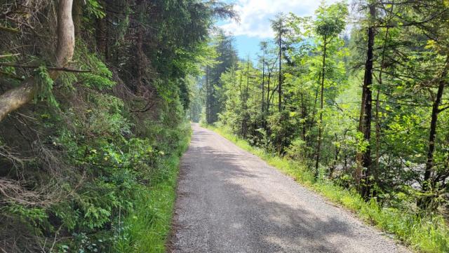 bis zum Walchensee wird uns die Eschenlaine rechts von uns begleiten