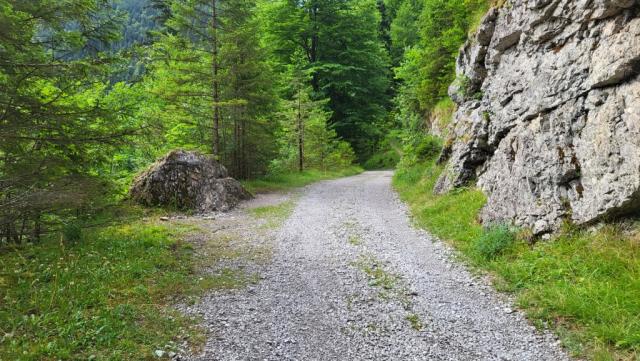 wie eingeplant bleiben wir im Tal der Eschenlaine, und wandern geradeaus weiter