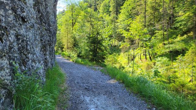 der Wanderweg führt immer konstant leicht aufwärts. Diese Strecke ist unter Bikern sehr beliebt