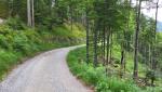 wir wandern auf dem Maximilian-Weg und gleichzeitig wieder auf dem E4 und der Via Alpina