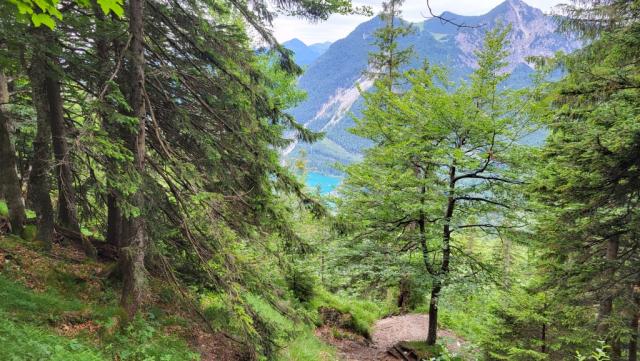 zwischendurch erlaubt der sonst dichte Wald, einen Blick zum Walchensee hinunter