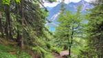 zwischendurch erlaubt der sonst dichte Wald, einen Blick zum Walchensee hinunter