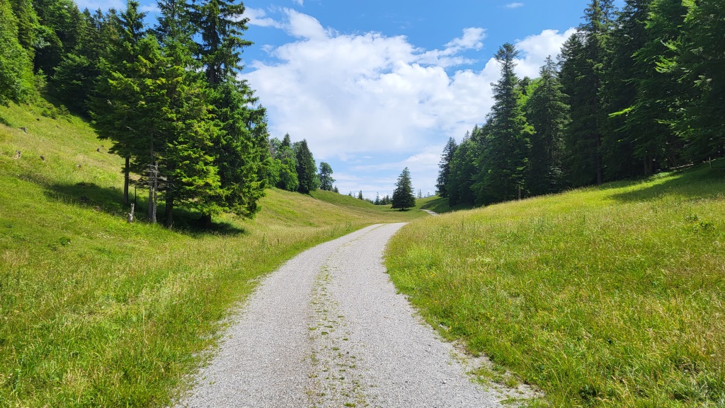 bei der Wiesensenke Talfleck folgen wir der Alpstrasse...