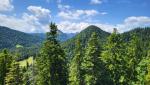 ...und schöne Aussichten in die Kocheler Berge