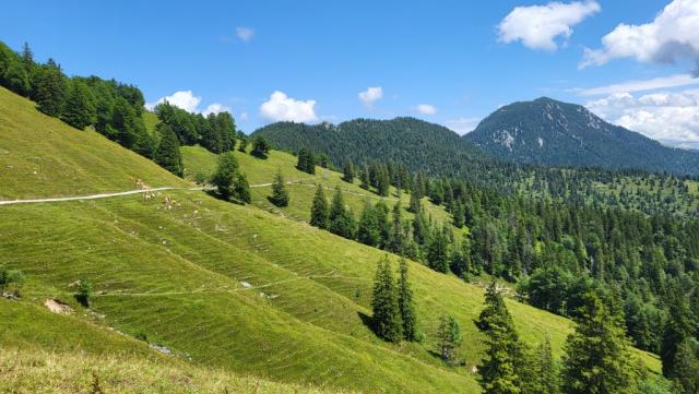 während dem Essen erkennen wir den Weiterweg, der in etwa höhengleich, um den Rabenkopf verläuft