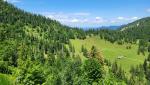 im Blick die Senke Pessenbacher Schneid